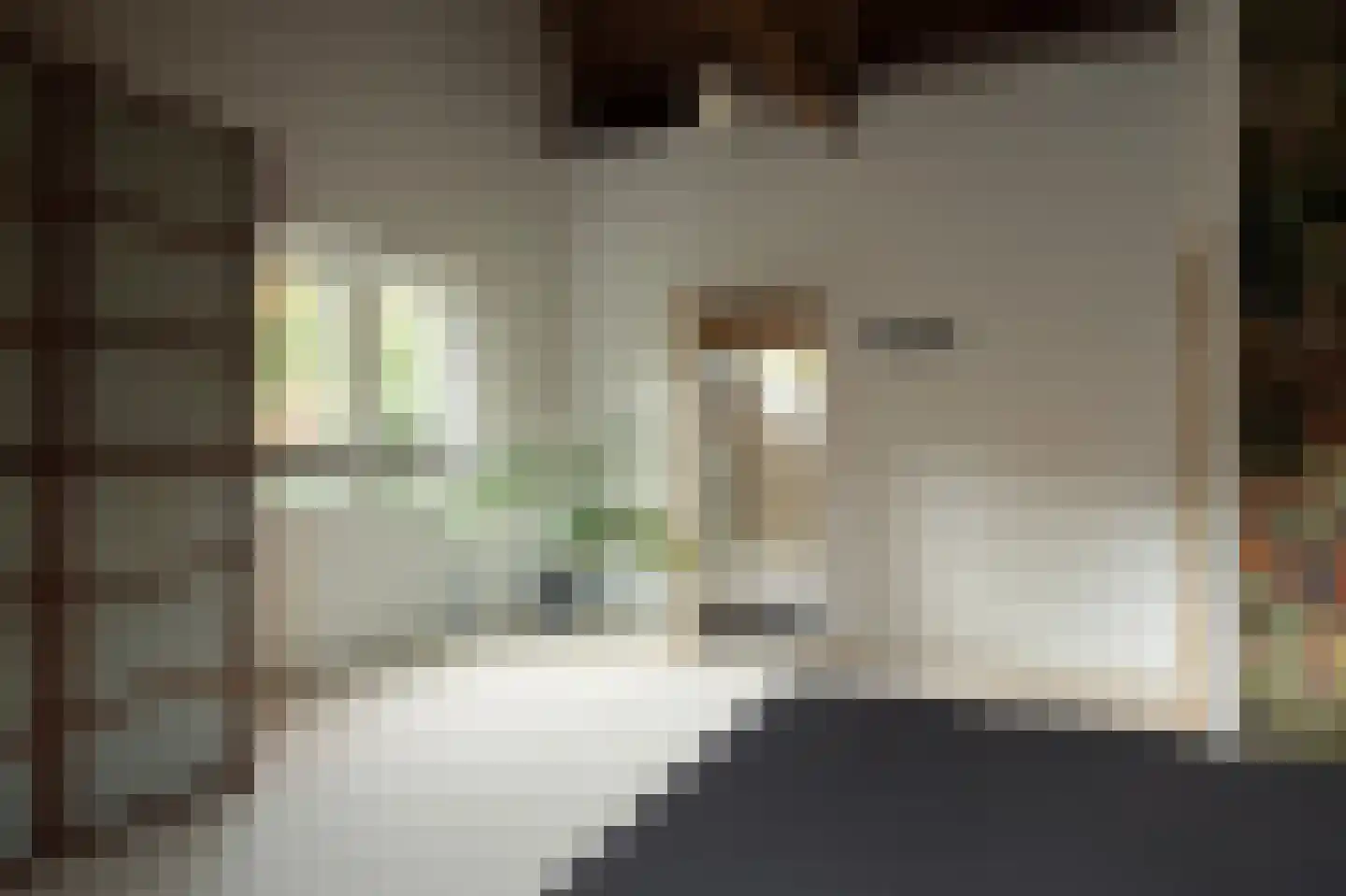 Middenlaan 52 Heveadorp thumbnail 20