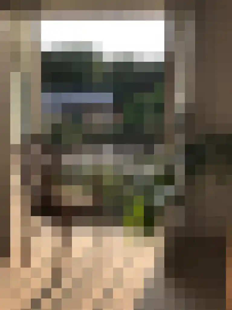 Middenlaan 52 Heveadorp thumbnail 24