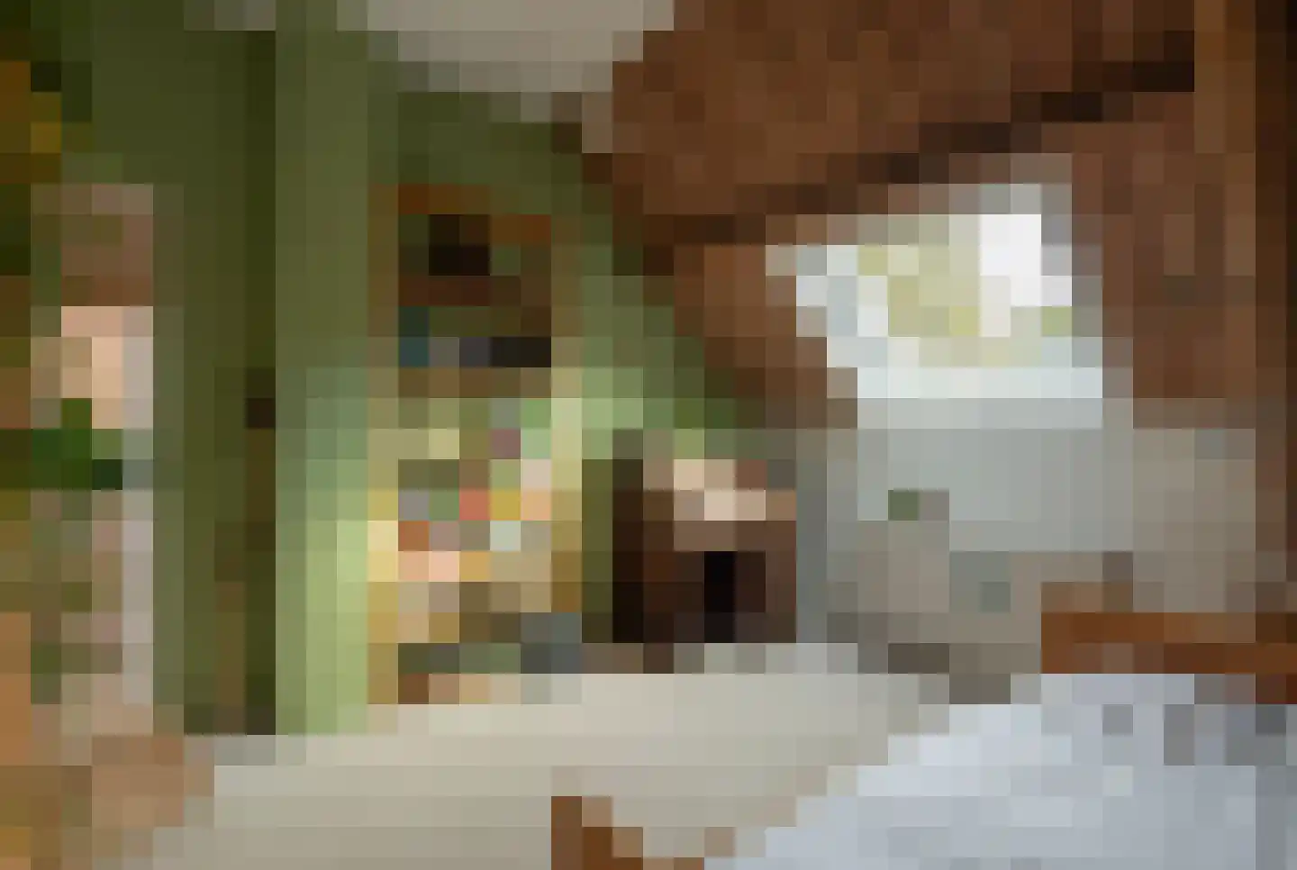 Middenlaan 52 Heveadorp thumbnail 26