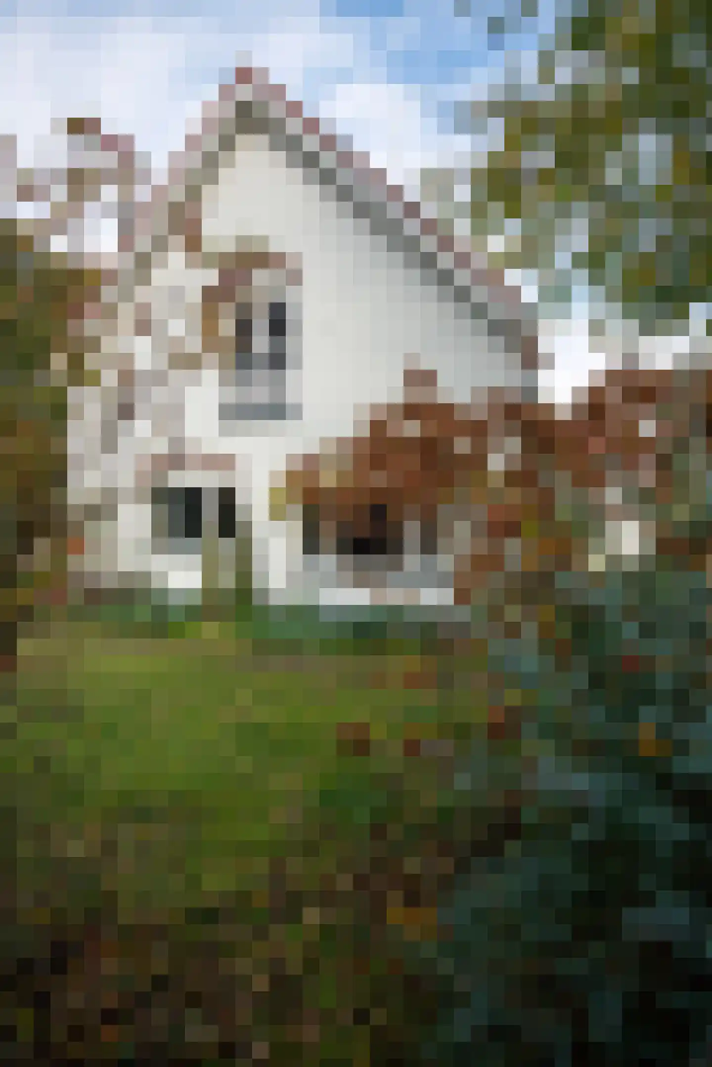 Middenlaan 52 Heveadorp thumbnail 35