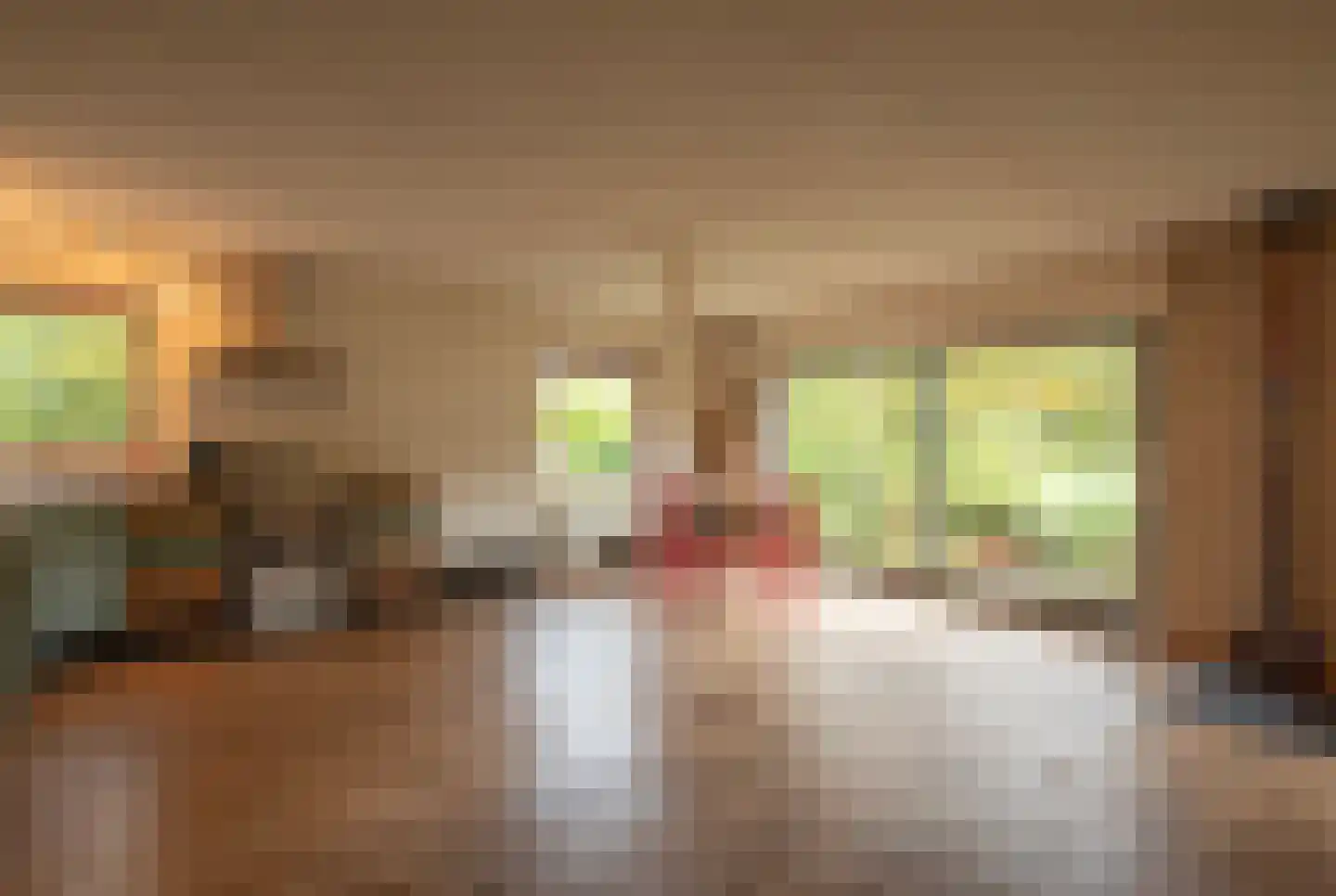Middenlaan 52 Heveadorp thumbnail 38
