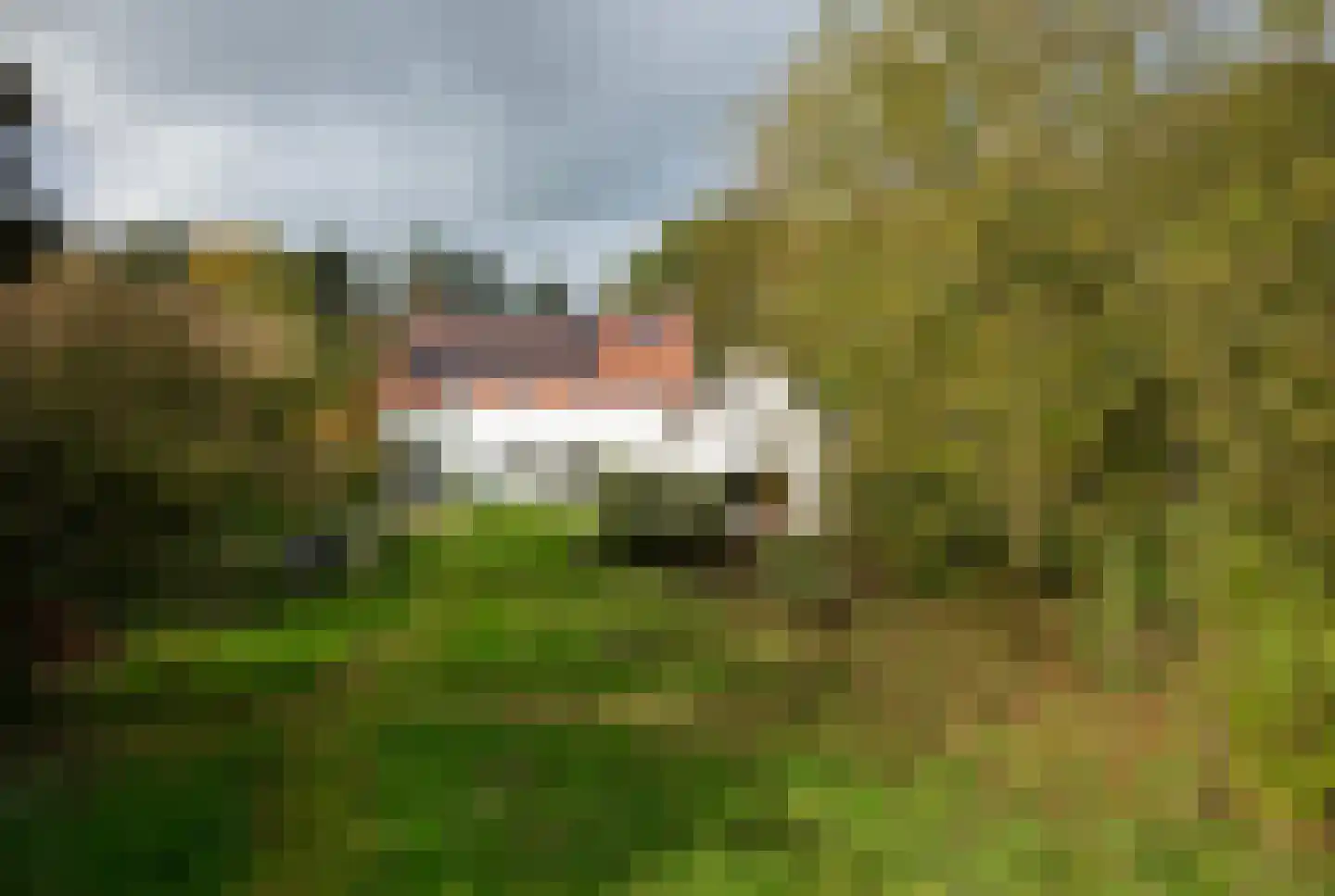 Middenlaan 52 Heveadorp thumbnail 4