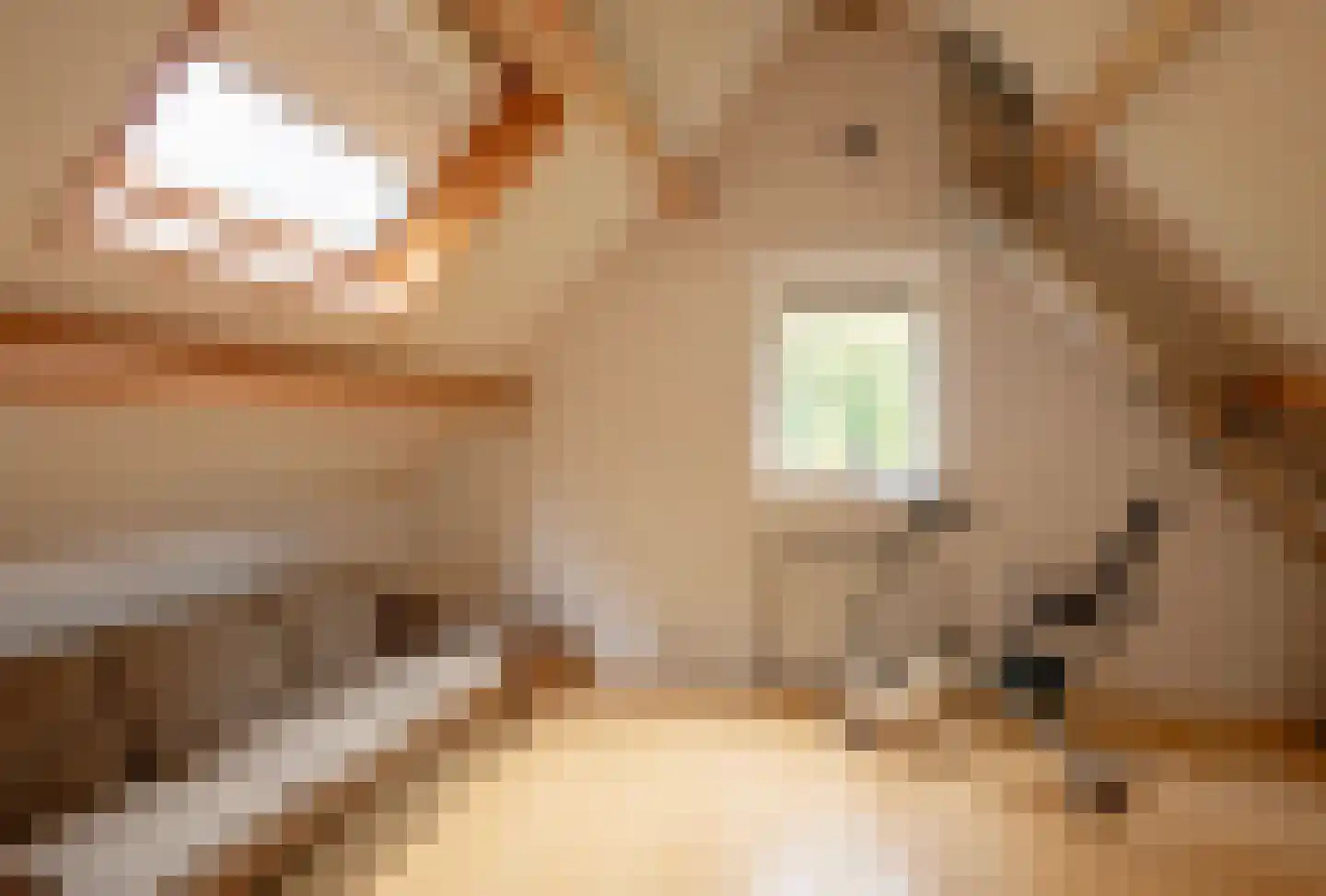 Middenlaan 52 Heveadorp thumbnail 42