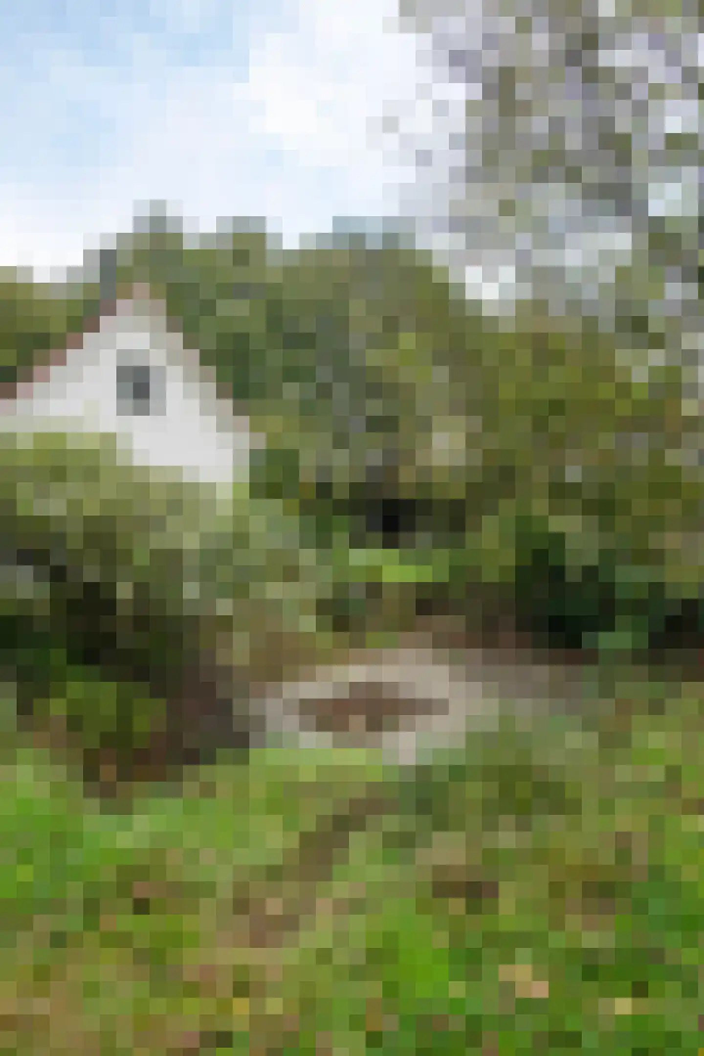 Middenlaan 52 Heveadorp thumbnail 44