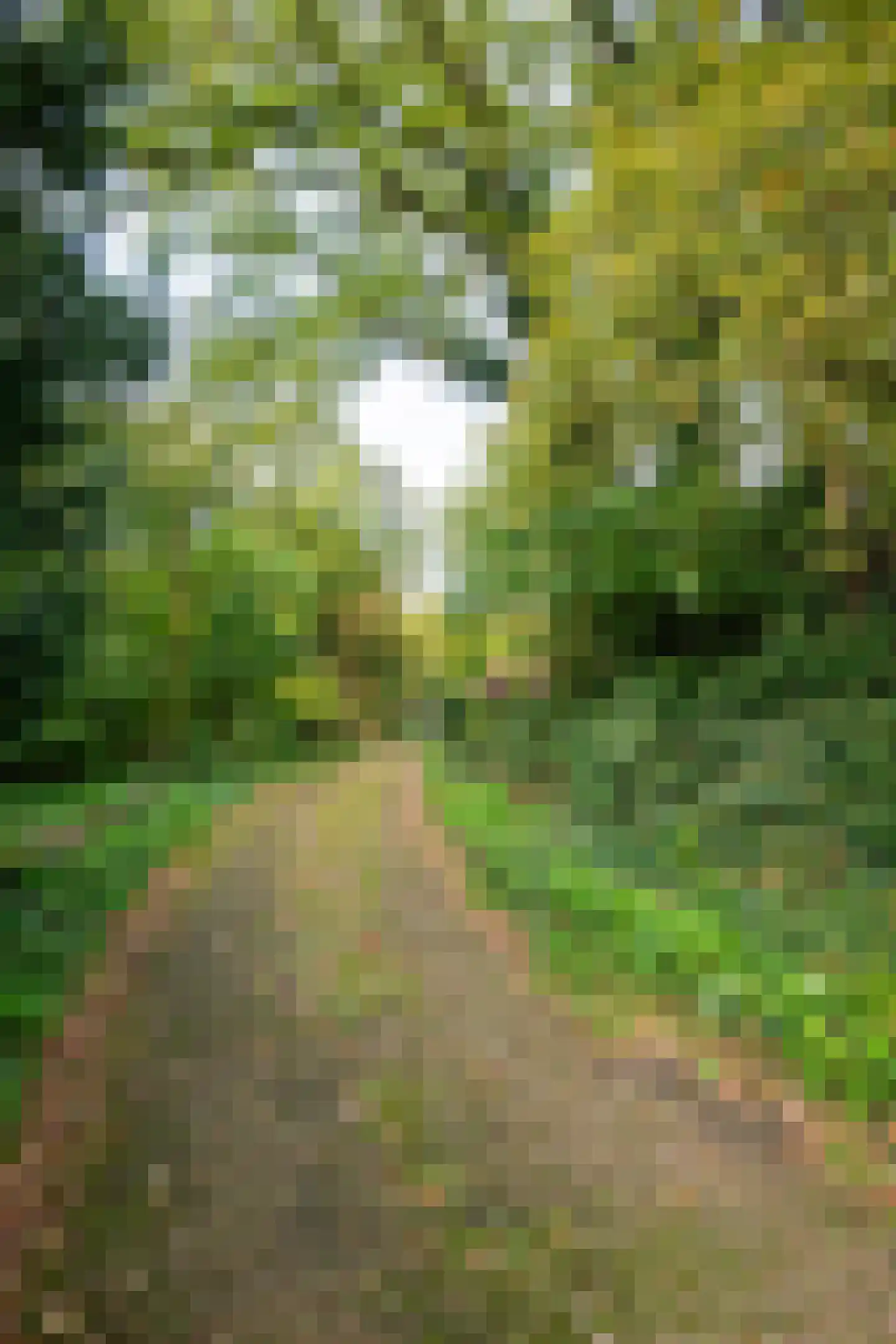 Middenlaan 52 Heveadorp thumbnail 46