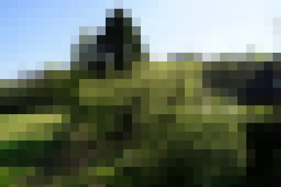 Middenlaan 52 Heveadorp thumbnail 55