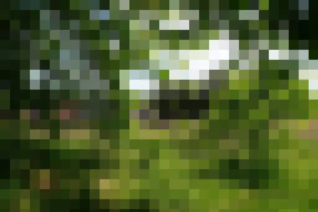 Middenlaan 52 Heveadorp thumbnail 56
