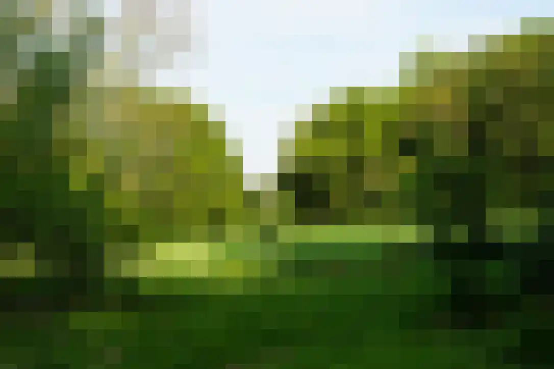 Middenlaan 52 Heveadorp thumbnail 57