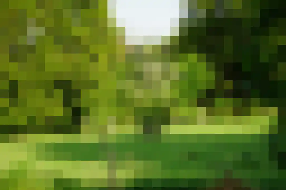 Middenlaan 52 Heveadorp thumbnail 58