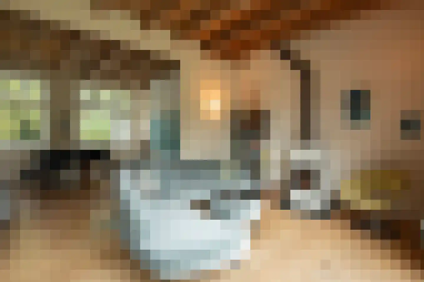 Middenlaan 52 Heveadorp thumbnail 7