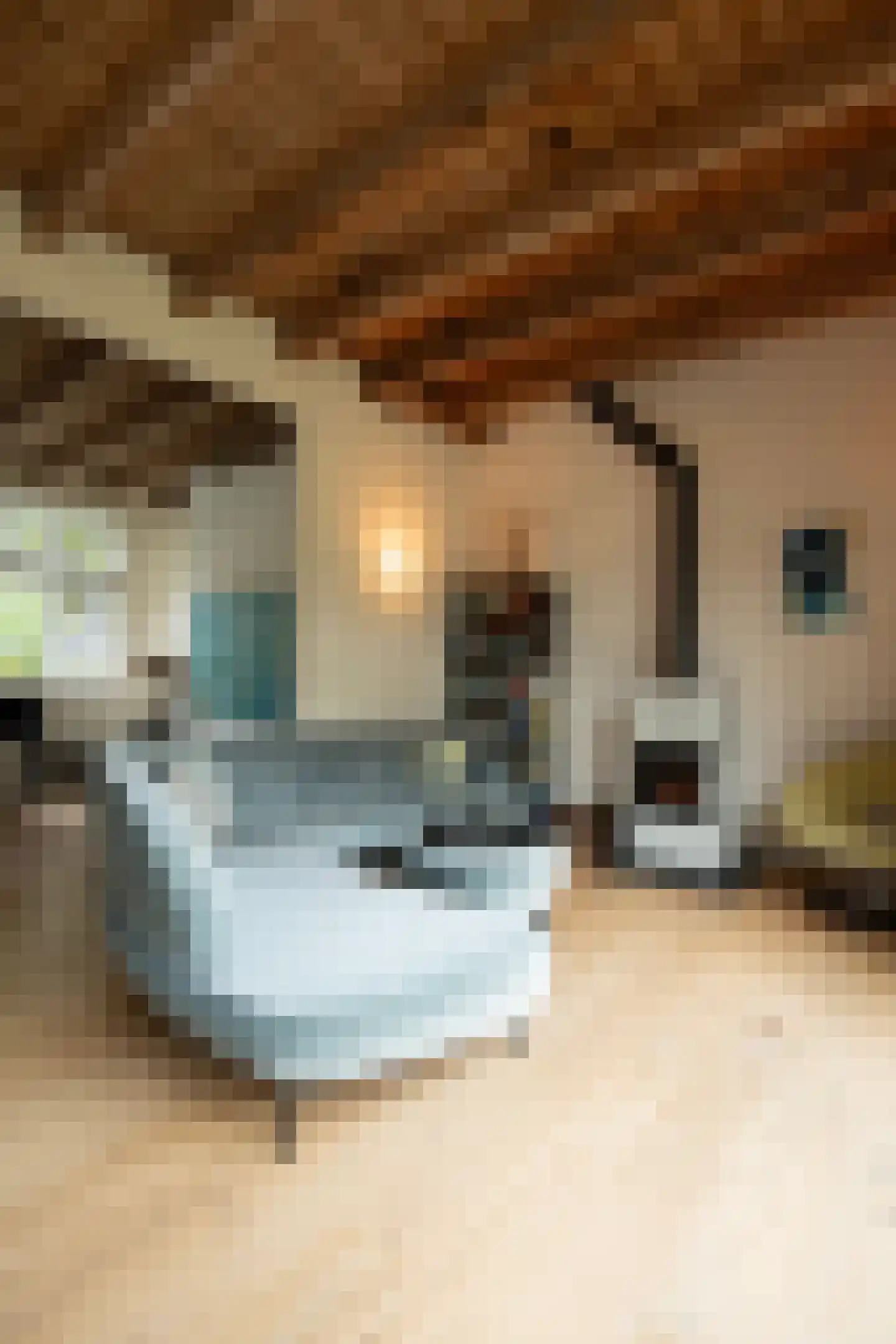 Middenlaan 52 Heveadorp thumbnail 8