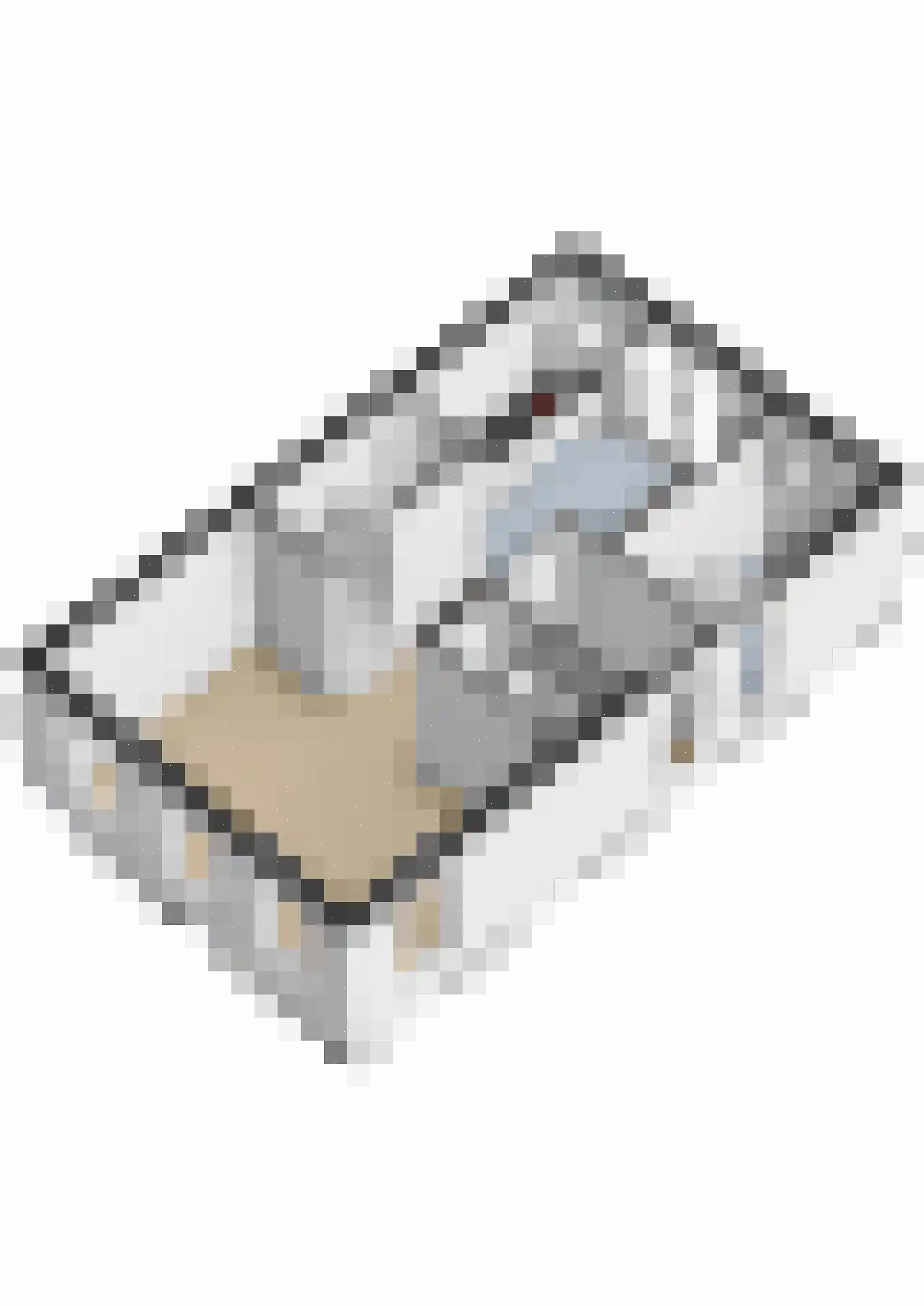 Middenlaan 95 2e Exloërmond thumbnail 48