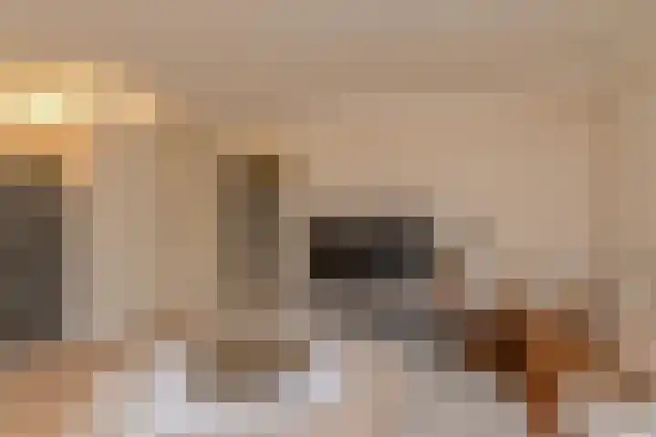 Middenmolenlaan 189 Gouda thumbnail 10
