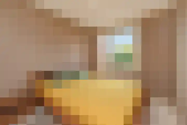 Middenmolenlaan 189 Gouda thumbnail 14