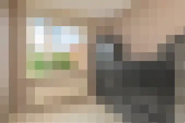 Middenmolenlaan 189 Gouda thumbnail 15