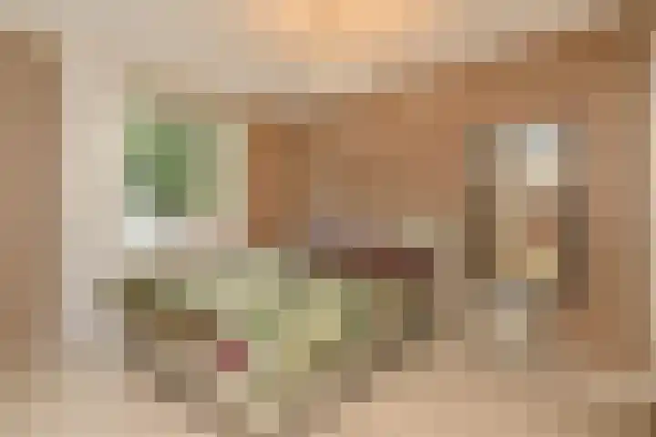 Middenmolenlaan 189 Gouda thumbnail 16