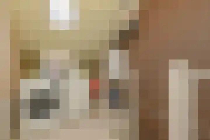 Middenmolenlaan 189 Gouda thumbnail 18