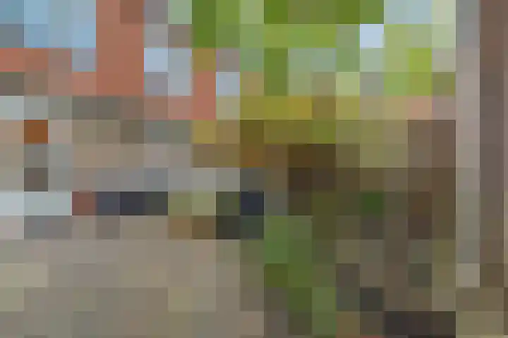 Middenmolenlaan 189 Gouda thumbnail 5