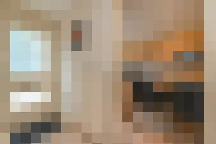 Middenmolenlaan 189 Gouda thumbnail 7