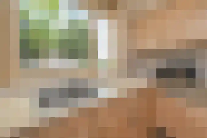 Middenmolenlaan 189 Gouda thumbnail 8
