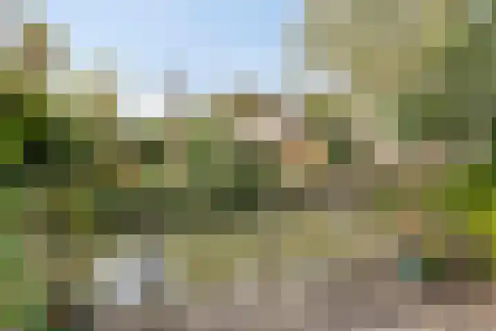 Middenmolenlaan 9 Gouda thumbnail 17