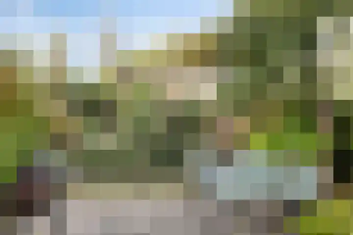 Middenmolenlaan 9 Gouda thumbnail 18