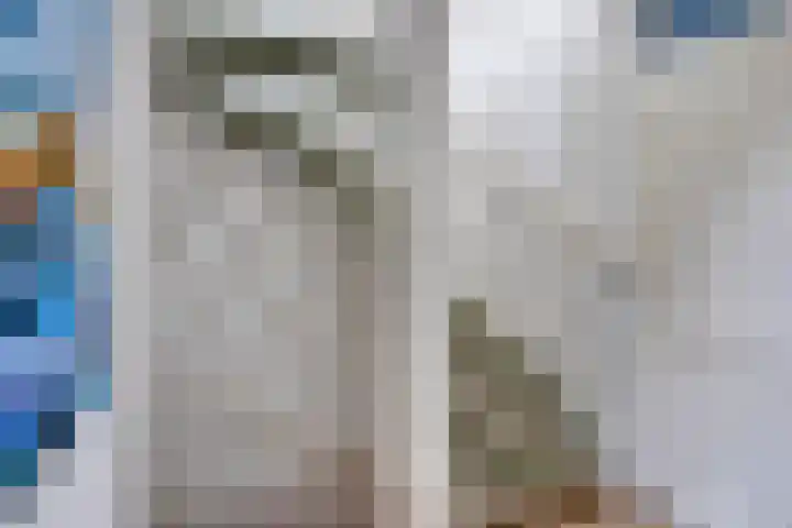 Middenmolenlaan 9 Gouda thumbnail 21