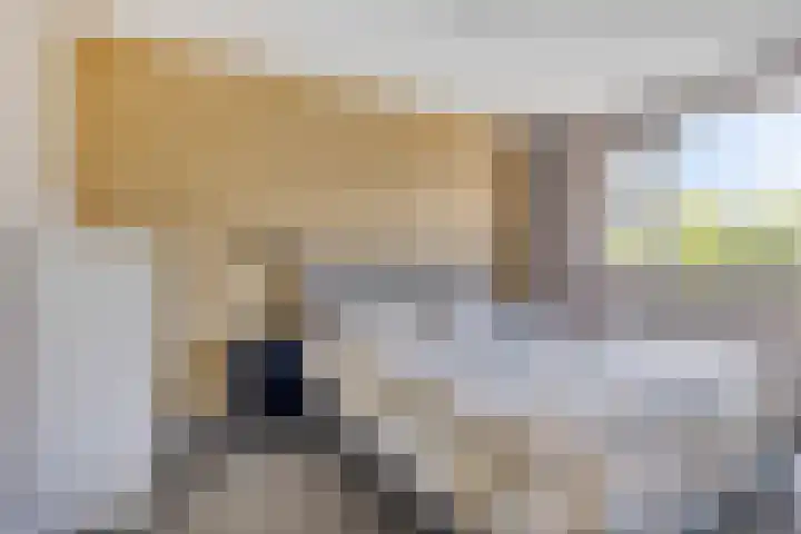 Middenmolenlaan 9 Gouda thumbnail 22