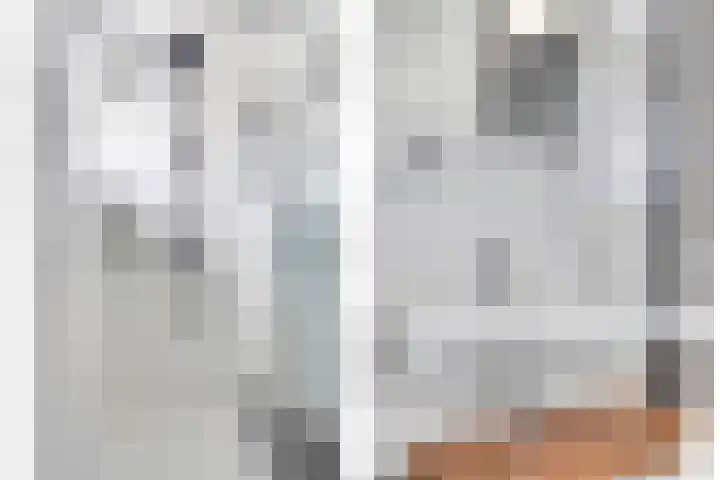 Middenmolenlaan 9 Gouda thumbnail 25