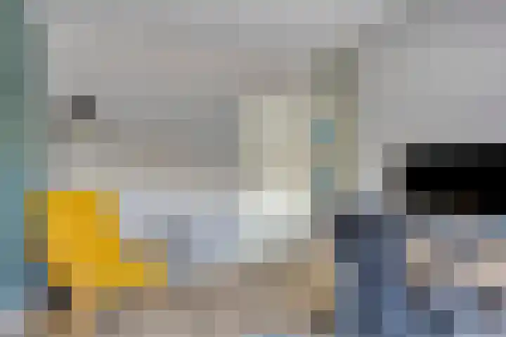 Middenmolenlaan 9 Gouda thumbnail 27