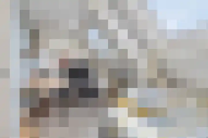 Middenmolenlaan 9 Gouda thumbnail 29
