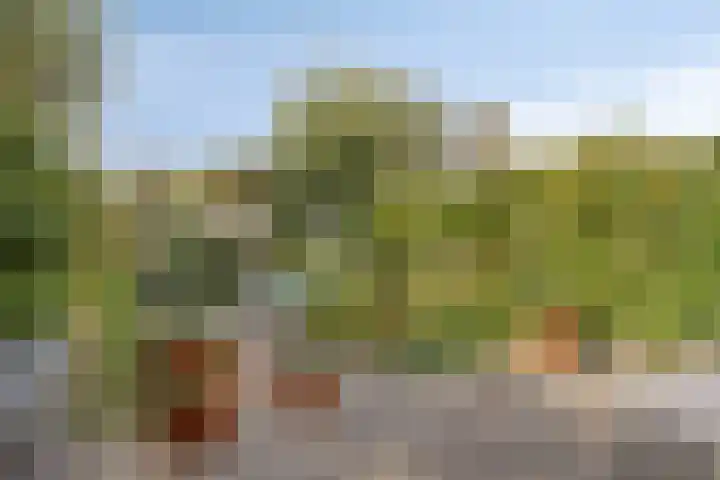 Middenmolenlaan 9 Gouda thumbnail 5