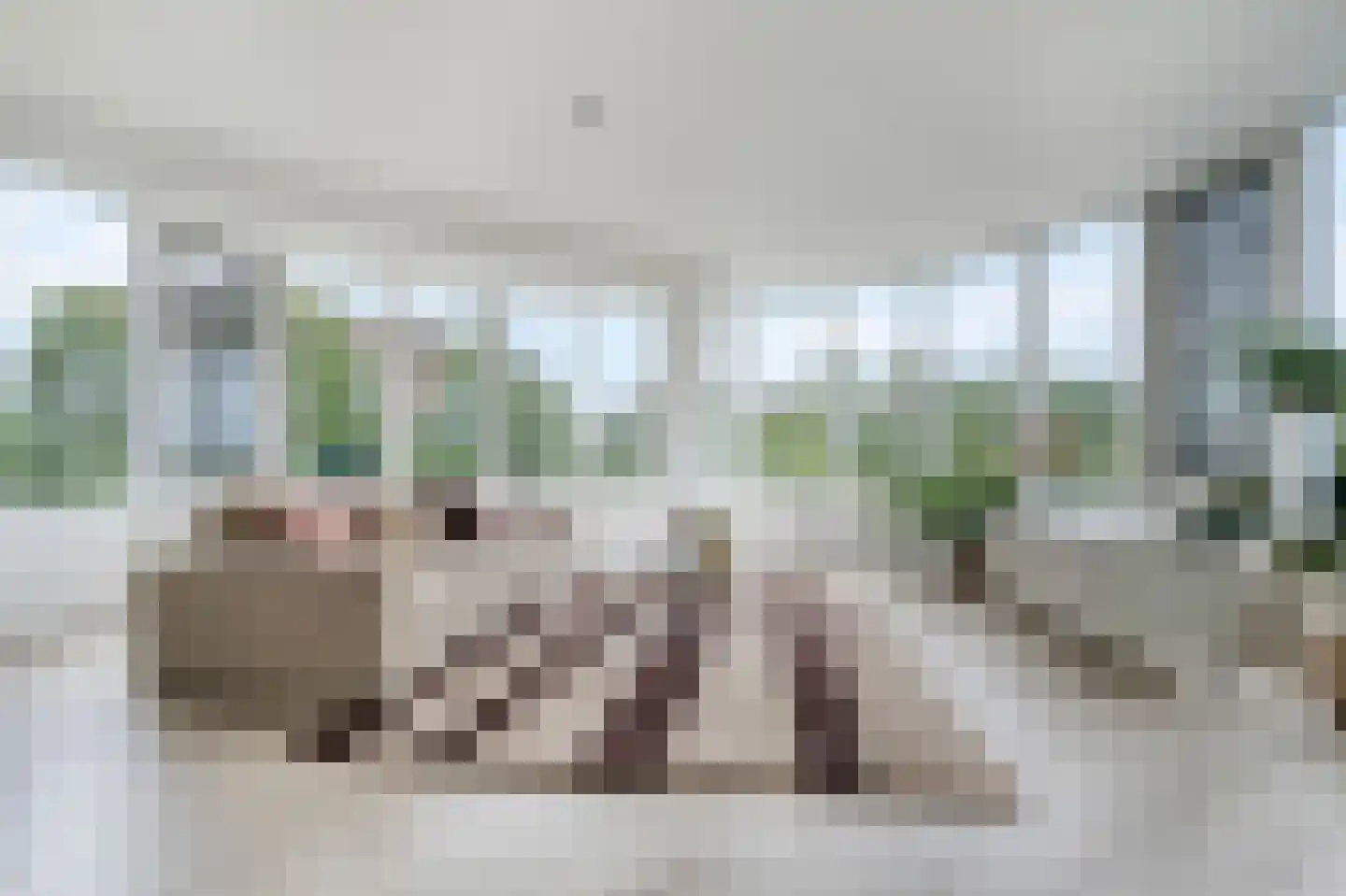 Middenmolenplein 20 Gouda thumbnail 8