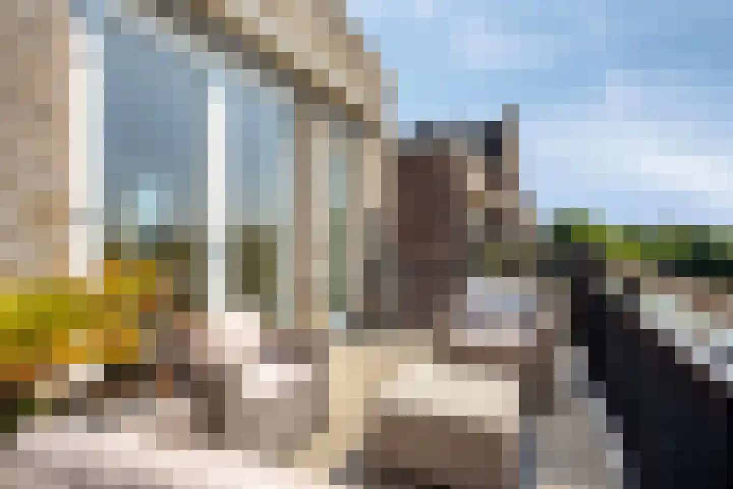 Middenoever 48 Roelofarendsveen thumbnail 6