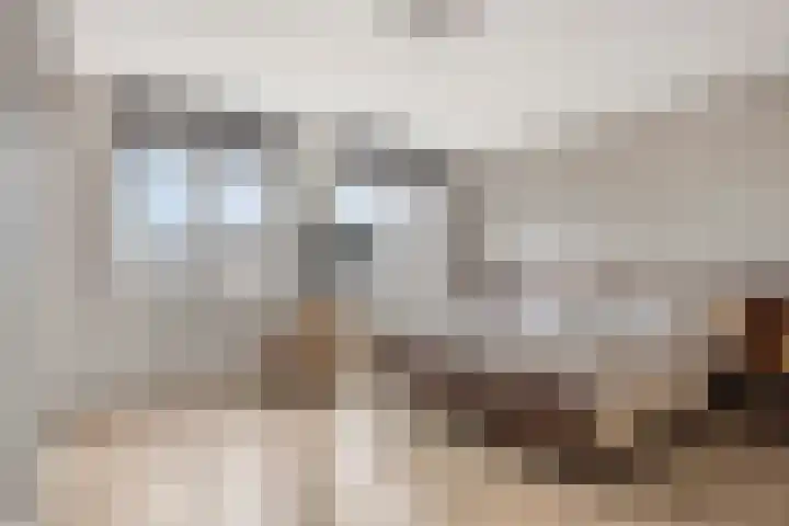 Middenoever 66 Roelofarendsveen thumbnail 11