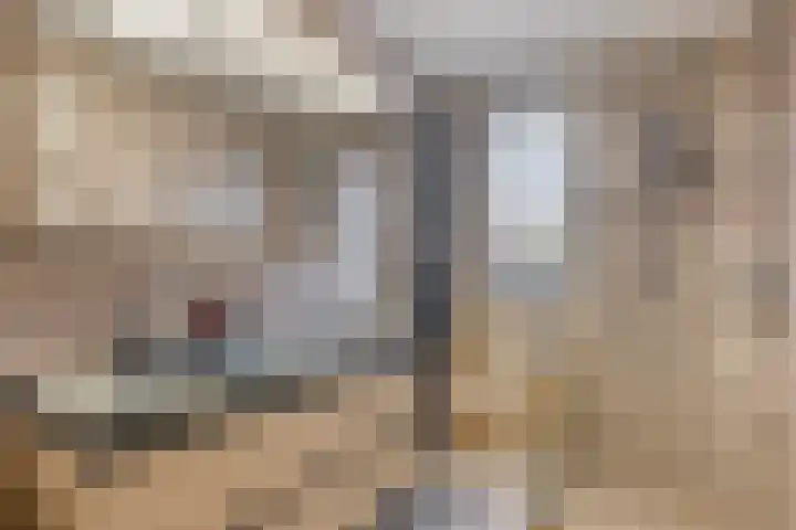 Middenoever 66 Roelofarendsveen thumbnail 13