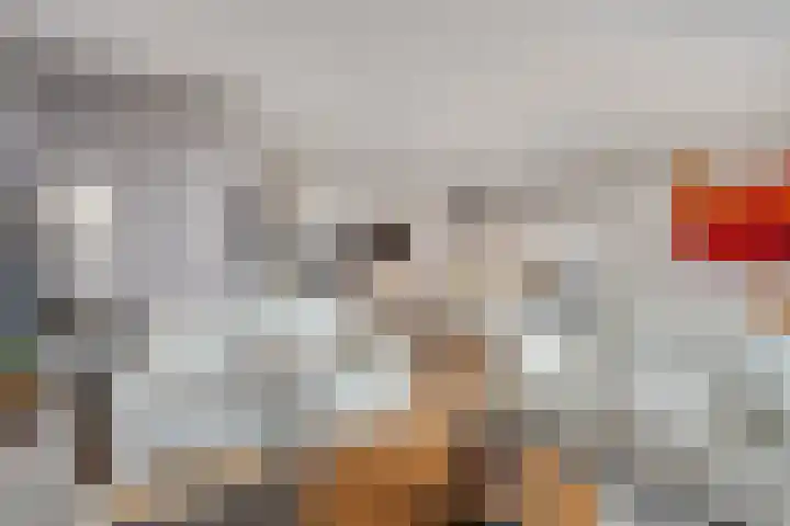 Middenoever 66 Roelofarendsveen thumbnail 8