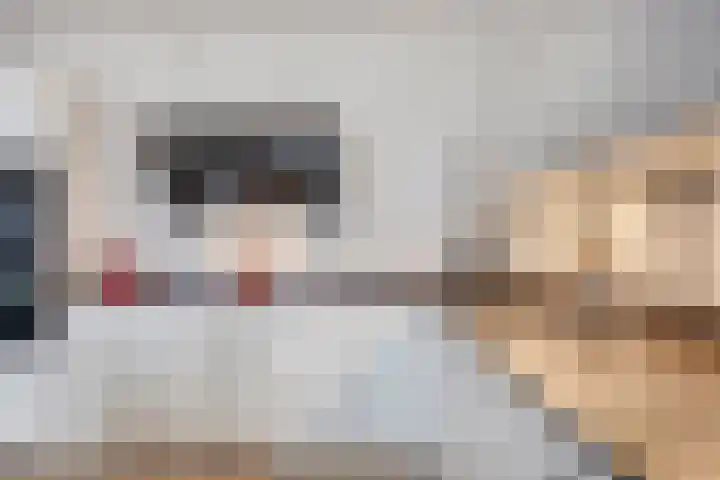 Middenoever 66 Roelofarendsveen thumbnail 9