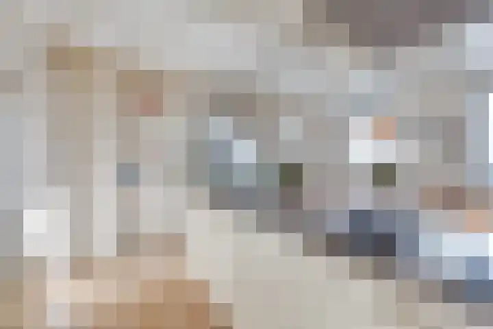 Middenoever 72 Roelofarendsveen thumbnail 10