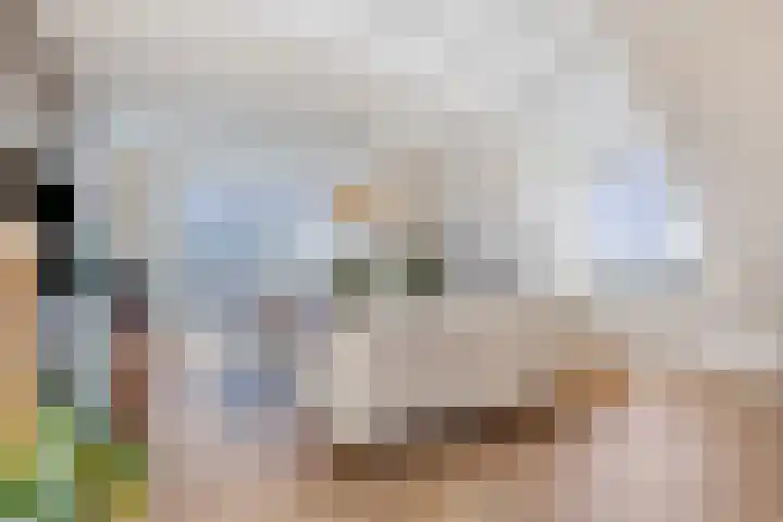 Middenoever 72 Roelofarendsveen thumbnail 5
