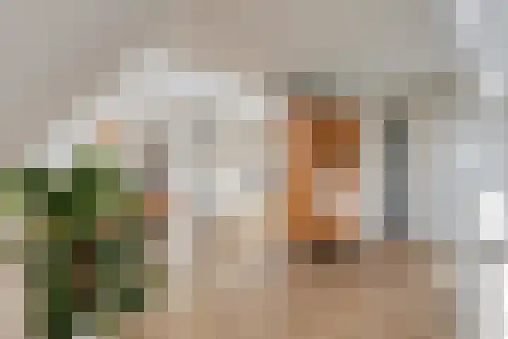 Middenoever 72 Roelofarendsveen thumbnail 7