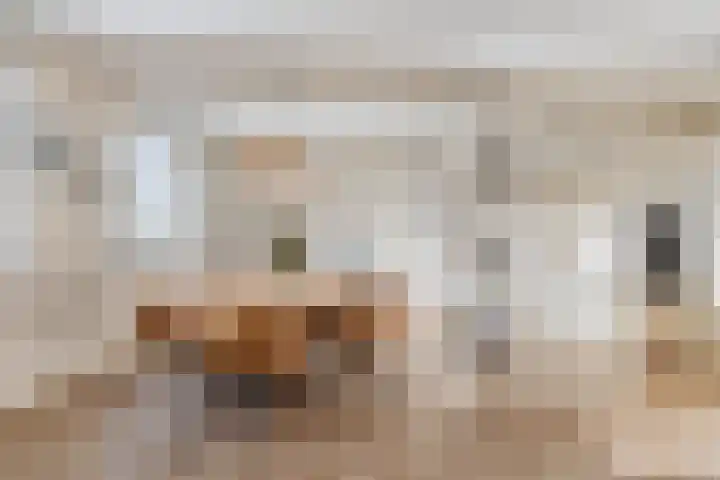 Middenoever 72 Roelofarendsveen thumbnail 8
