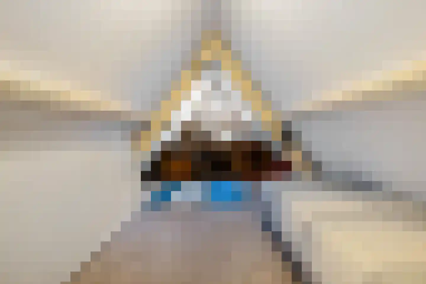 Middenpad 1 Haren Gn thumbnail 28