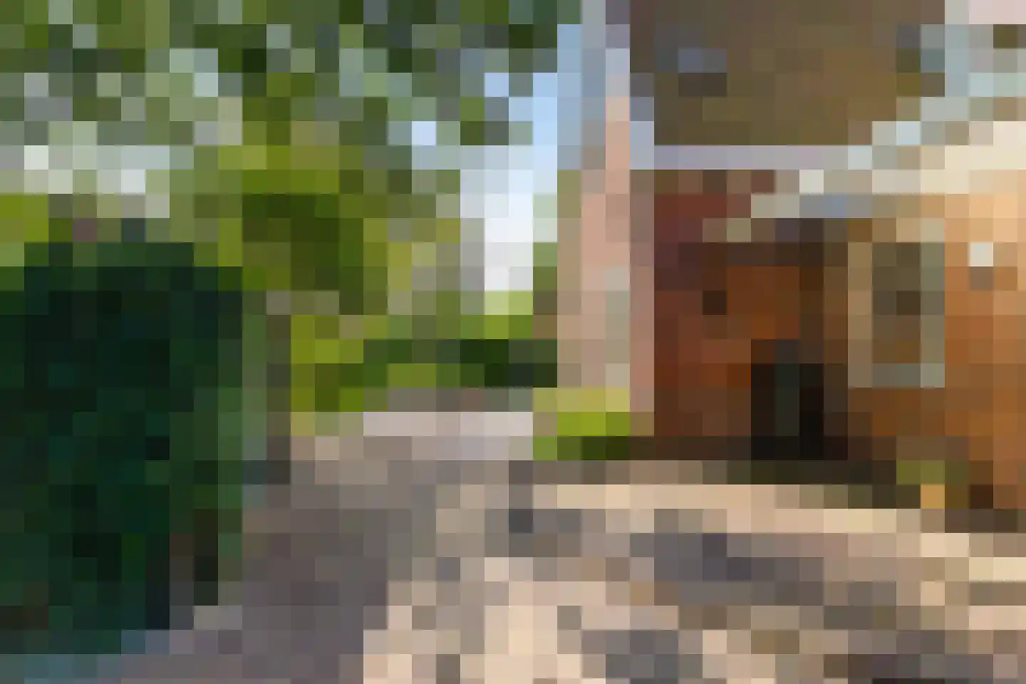 Middenpad 1 Haren Gn thumbnail 37