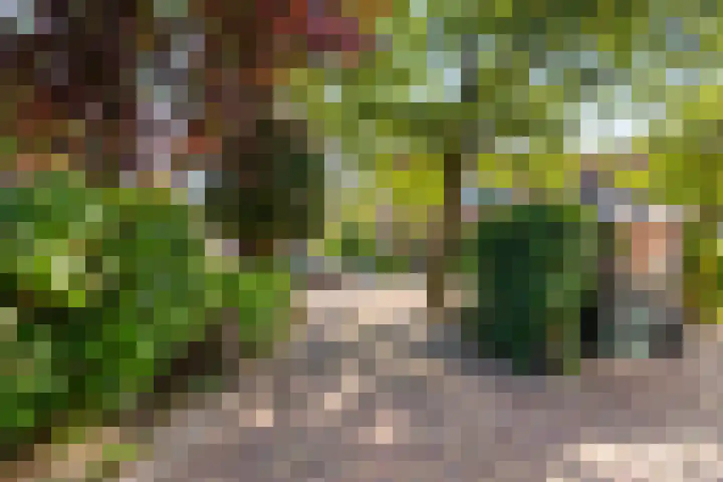 Middenpad 1 Haren Gn thumbnail 39