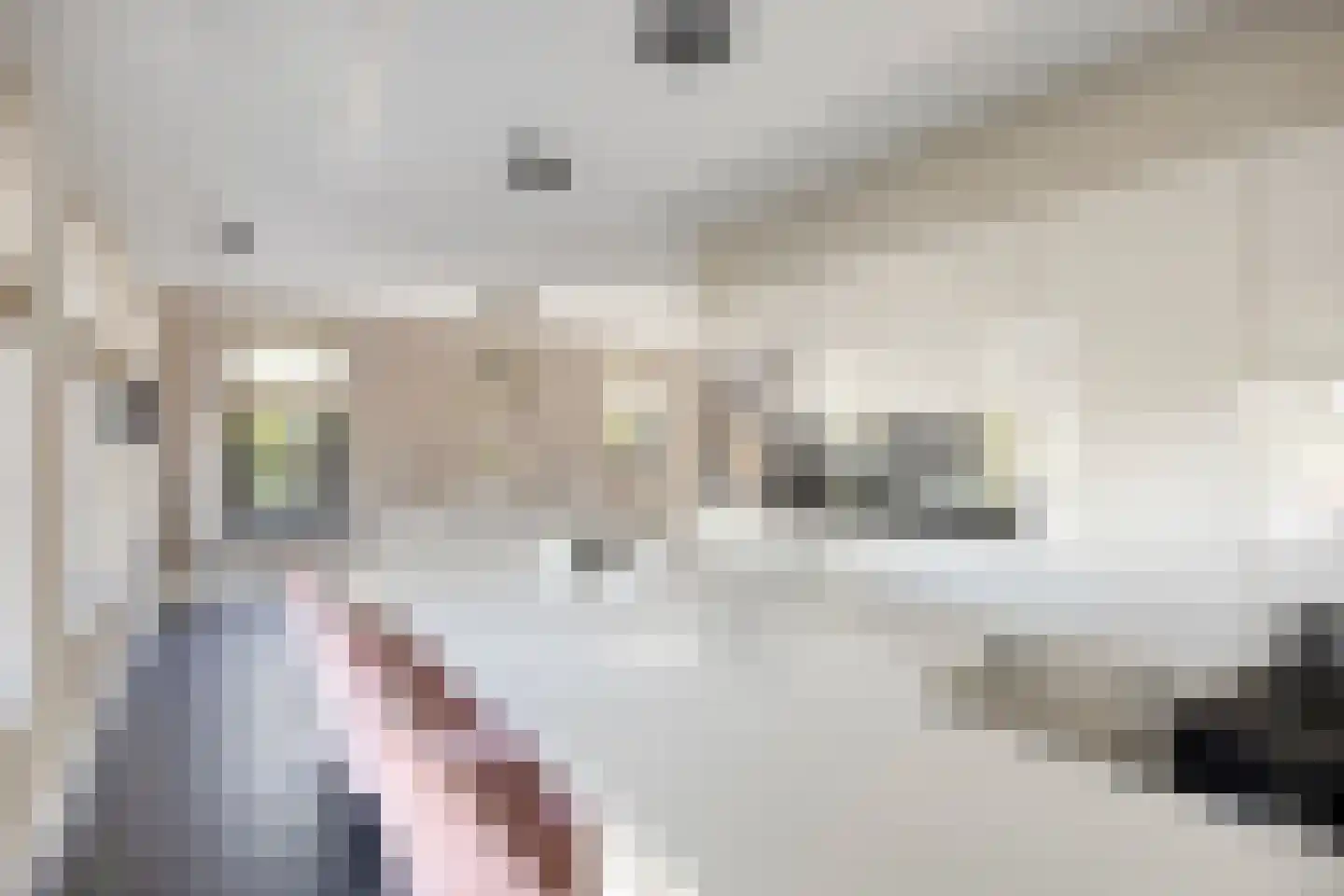 Middenpad 23 Zuidoostbeemster thumbnail 19