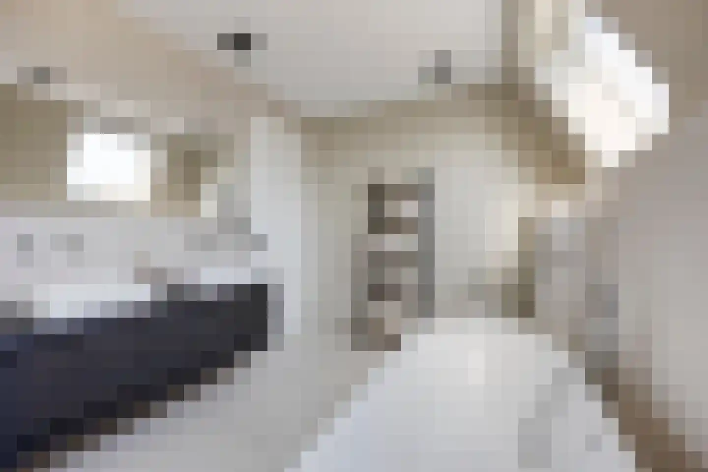 Middenpad 23 Zuidoostbeemster thumbnail 35