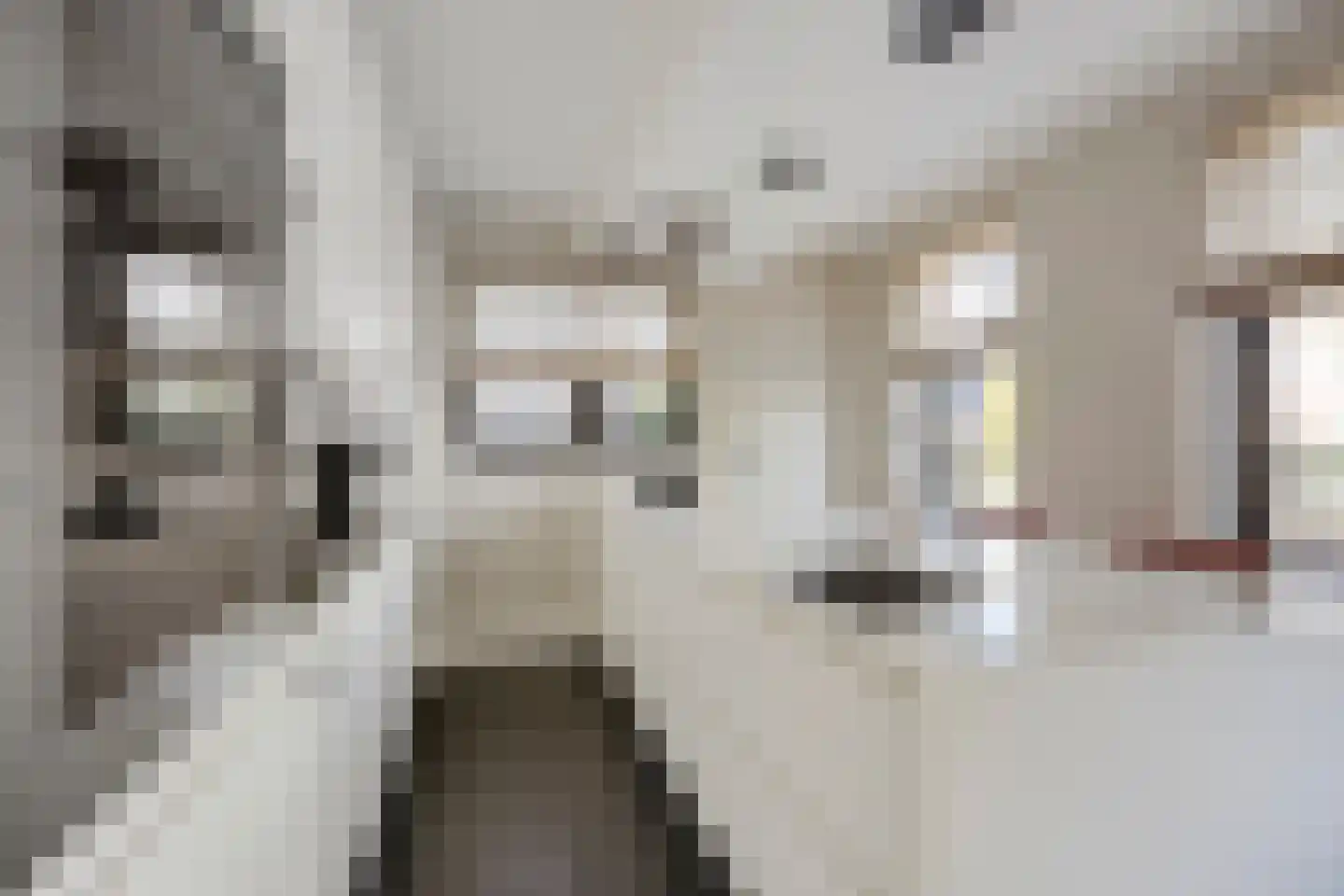 Middenpad 23 Zuidoostbeemster thumbnail 4