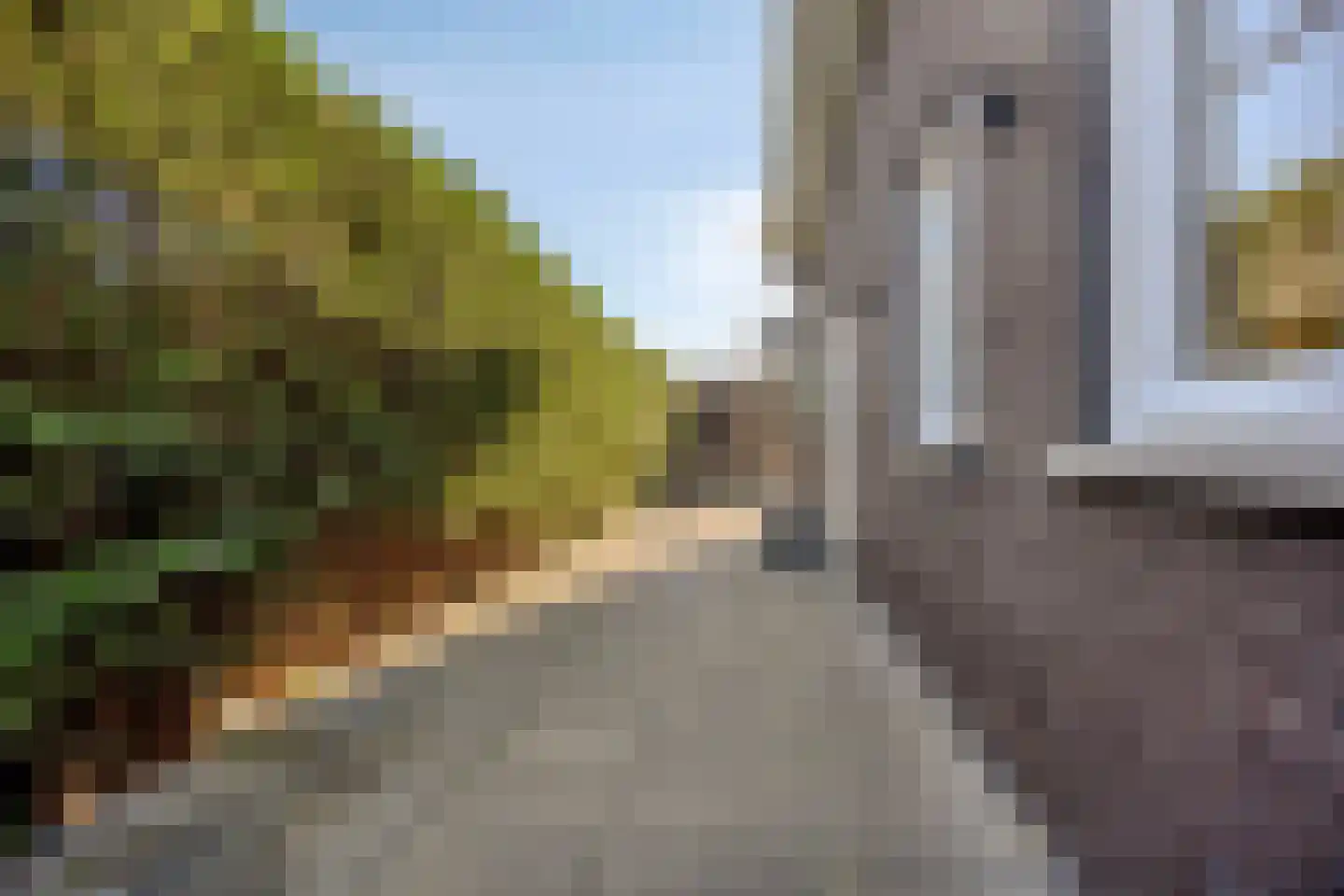 Middenpad 23 Zuidoostbeemster thumbnail 42