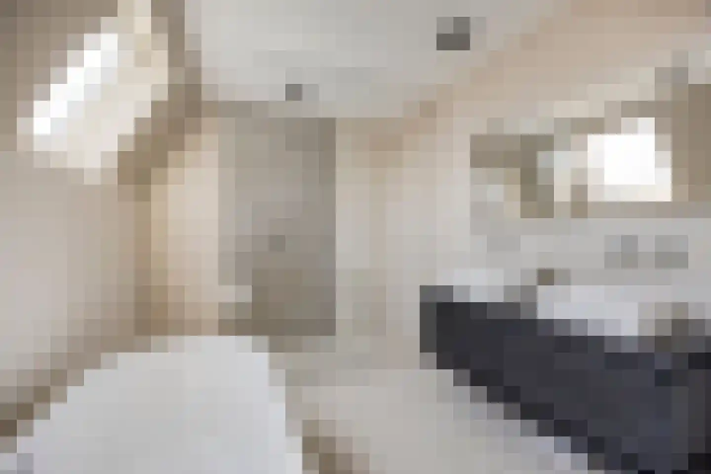 Middenpad 23 Zuidoostbeemster thumbnail 5